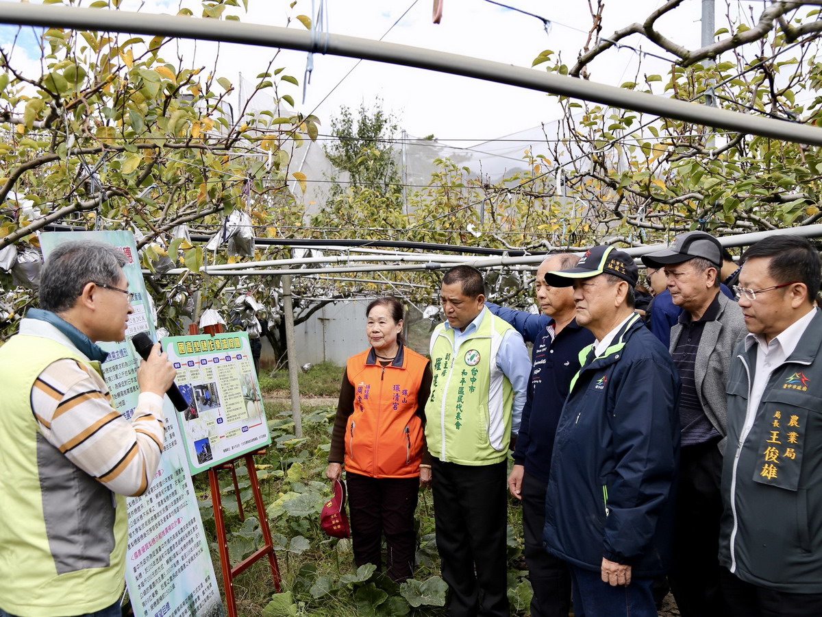 ▲副市長林陵三\\(右三\\)到和平區國產梨穗供穗園勘查，並聽取國產梨穗推廣成果報告。（圖／台中市政府農業局提供2017.12.2）