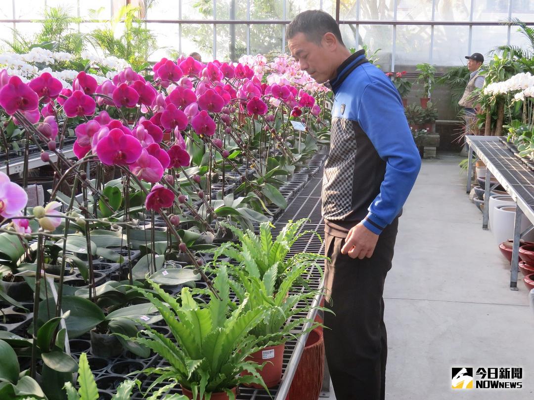 ▲原本為汽車銷售員林將凱，因為喜歡蘭花，轉而投入種花的行列。（圖／市政府提供 , 2017.12.3）