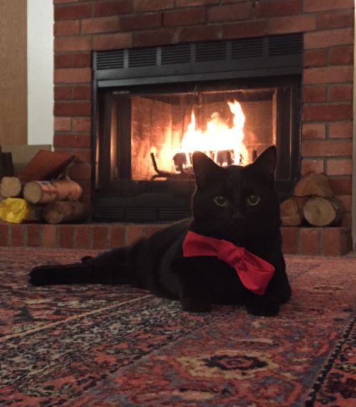 黑貓跟壁爐好搭～
