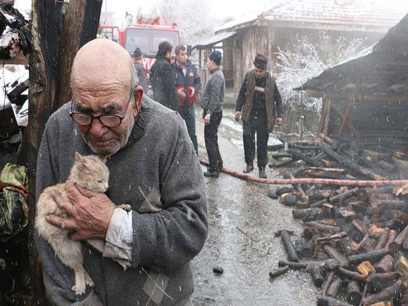 土耳其老翁糊塗釀火燒房子　大雪中緊抱愛貓流淚畫面讓人心碎（圖／寵毛網）