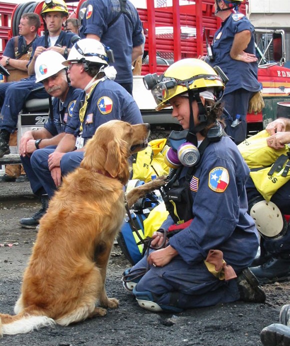 2001年美國遭受一連串恐怖攻擊時，救難犬Bretagne奔波於各地進行搜救，包括倒塌的雙子星大廈。當時才2歲的牠，已於2016年時以16歲高齡辭世