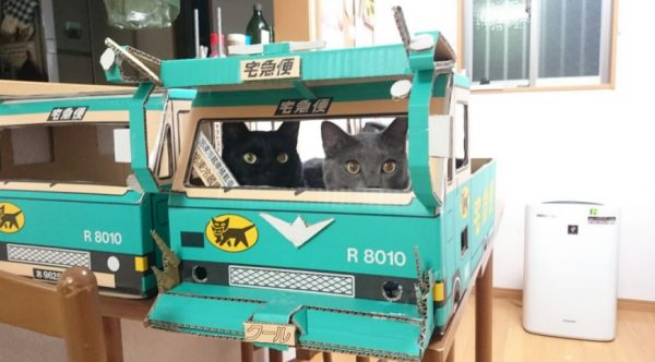 當黑貓宅急便的送貨員真的是貓，喵星人們大概會在後車廂大開紙箱趴替XD（圖／@Kenken029029）