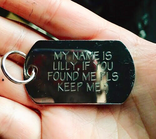 「我的名字叫做莉莉，如果你撿到我請收留我」