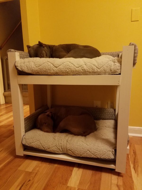 看到牠們每次都擠在小小的睡床上睡得很辛苦，貼心的把拔便自己打造一組雙層床架，讓二兄弟可以靠得很近又睡得舒服～