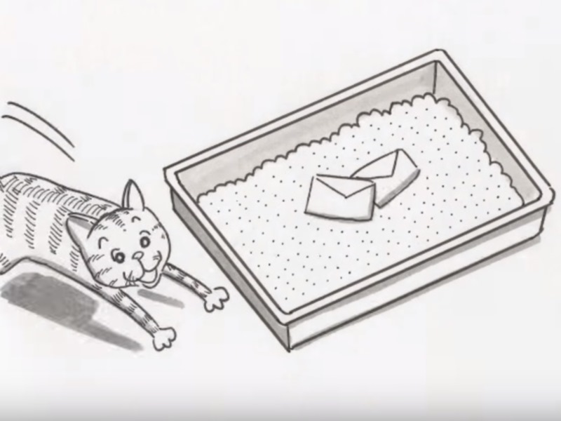 感人動畫「來自貓咪的大小訊息」　提醒貓奴重要觀念！
