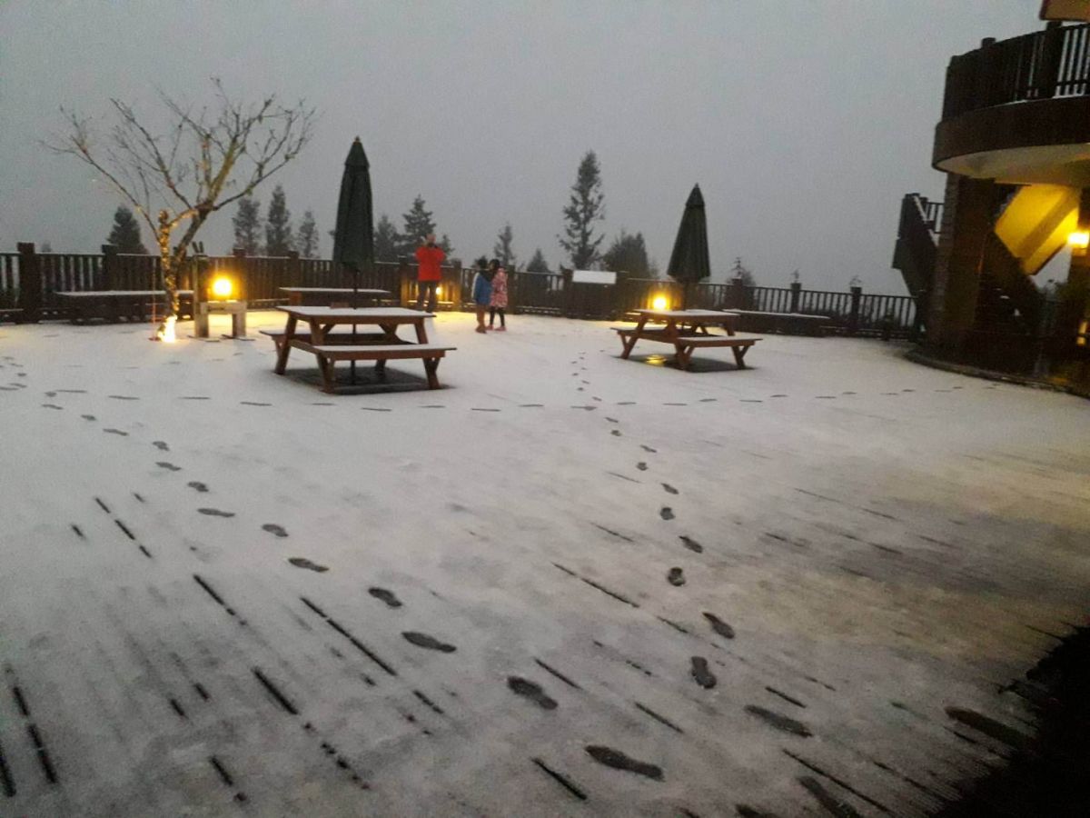 ▲太平山國家森林遊樂區今(30)日一早降下冰霰。（圖／記者李清貴翻攝 , 2018.01.30）