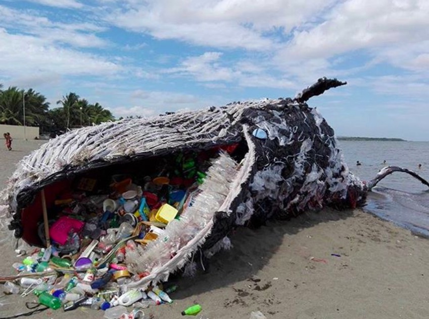 ▲這隻大鯨魚，乍看令人感到震撼與恐懼，然而它所代表的卻是如今正發生在地球上的悲劇。（圖／Discover Ocean IG , 2018.1.28）