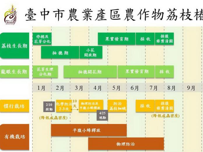 農業局製作荔枝椿象防治曆　2月啟動防治工作
