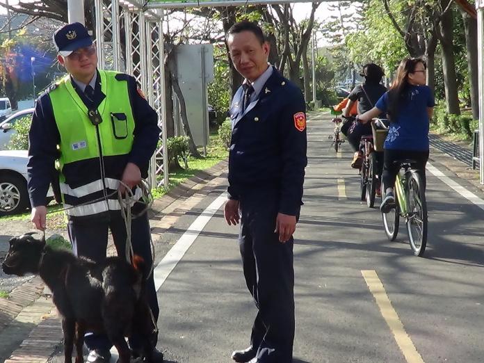 東豐綠廊自行車道甚美　大公羊也來「自由行」
