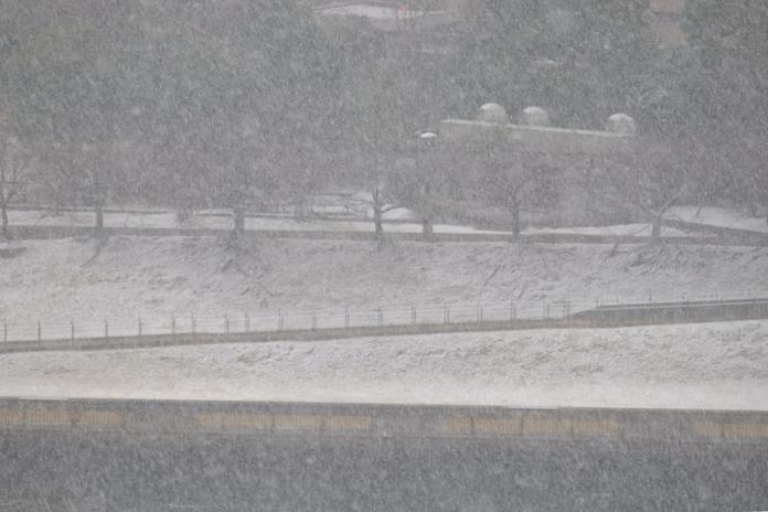 日本關東大雪　外交部證實1台人車禍身亡
