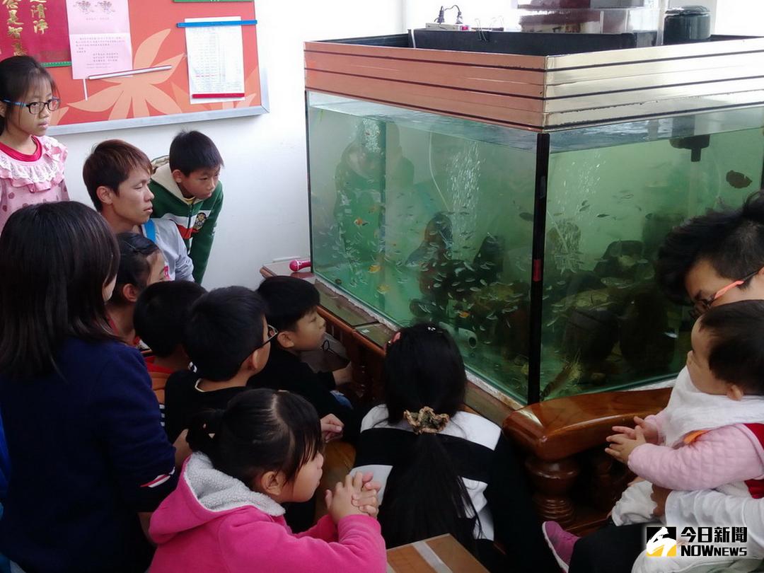 ▲茅埔派出所放置一個大水族箱，成為轄區國小另類的戶外生態教學活動場所。(圖／記者黃玿琮攝2018.1.20)
