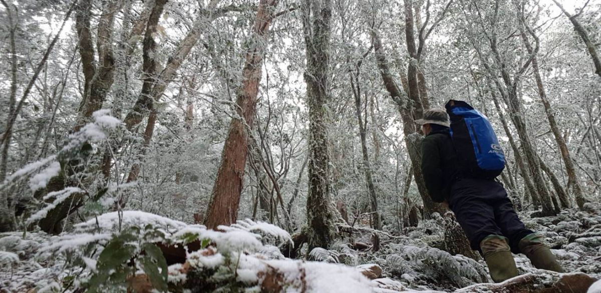 ▲儘管天寒地凍，林務局羅東林區管理處森林巡護人員依舊堅守工作崗位巡查山林。（圖／記者李清貴翻攝 , 2018.01.12）