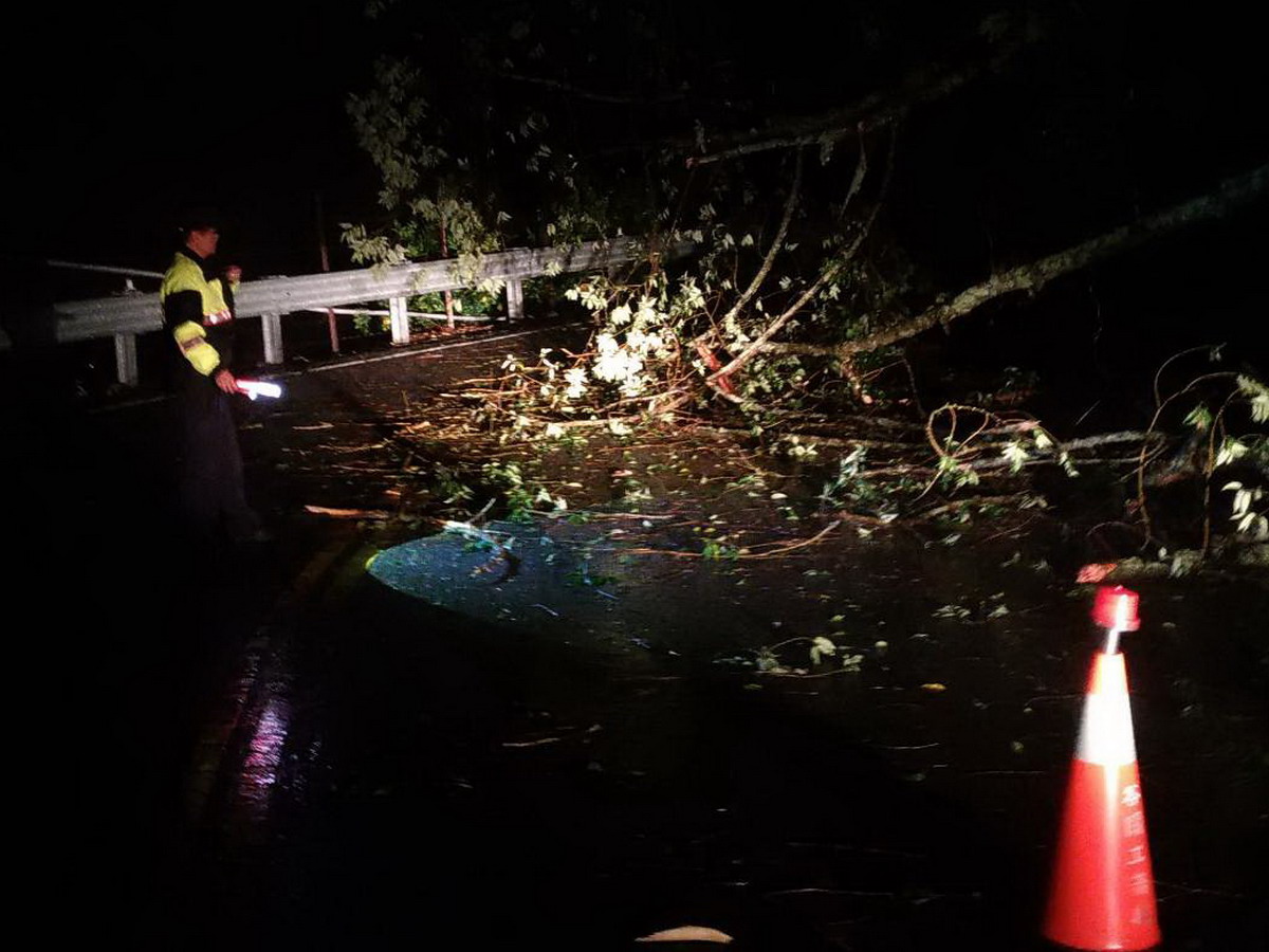 ▲台21線道路指標5.5公里處，路樹倒下阻礙雙向通行，警方設置警示號誌及交通錐，提醒用路人注意安全。（圖／記者黃玿琮翻攝）