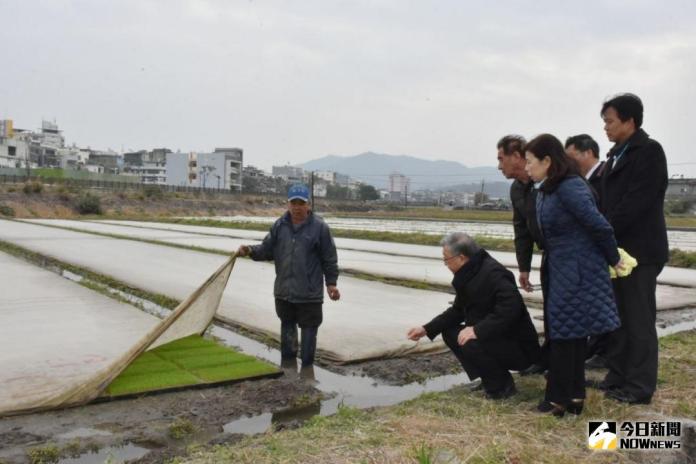 ▲水稻育苗場\\(圃\\)可利用不織布、塑膠布覆蓋防止寒害。（圖／資料照片）