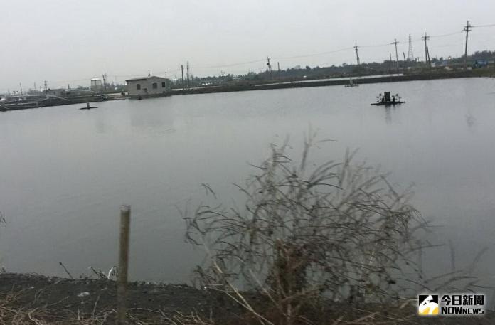 ▲高雄市海洋局因應強烈大陸冷氣團南下，籲請高雄地區養殖業者做好防寒整備。(圖／記者黃守作攝，2018.01.08)