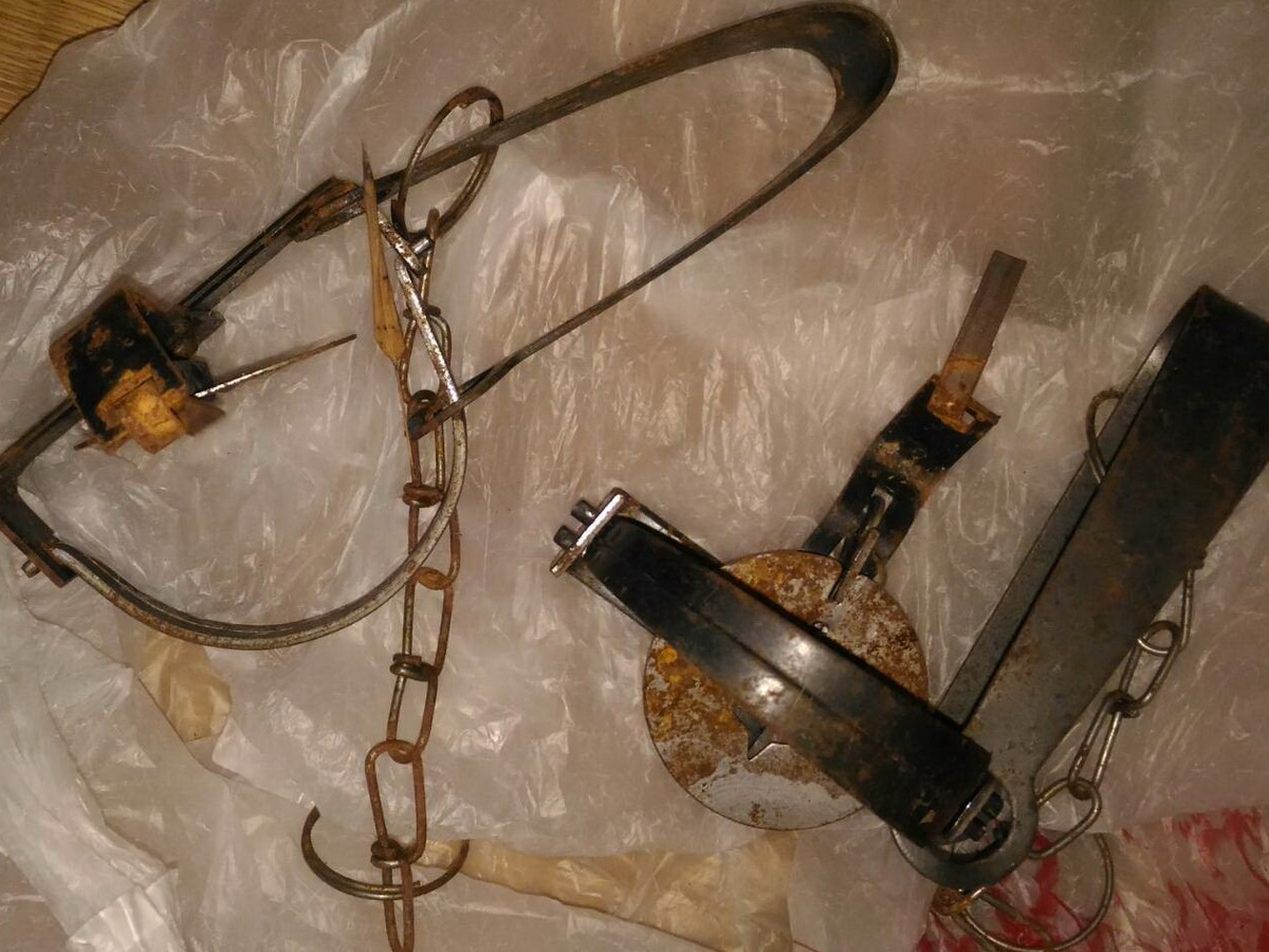 ▲台中市動物保護防疫處派員至農場現場稽查後，發現2具使用中的獸鋏，當場拆除帶回。(圖／台中市政府動保處提供2018.1.7)