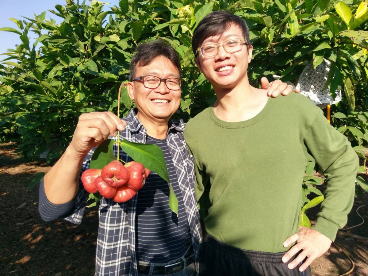 ▲彭彬父子兩沉浸在這片蓮霧園享受田園生活，施以最友善方式耕作。（圖／記者陳宗傑翻攝，2018.01.02）