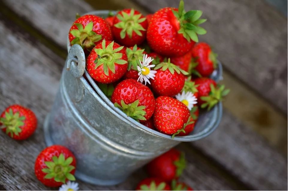 如果以為現在是草莓季就準備新鮮草莓、草莓大福、草莓蛋糕給神明吃，小心犯禁忌。（圖／Pixabay）