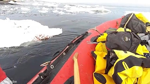研究人員當時在充滿了浮冰的海面上暫時停留。