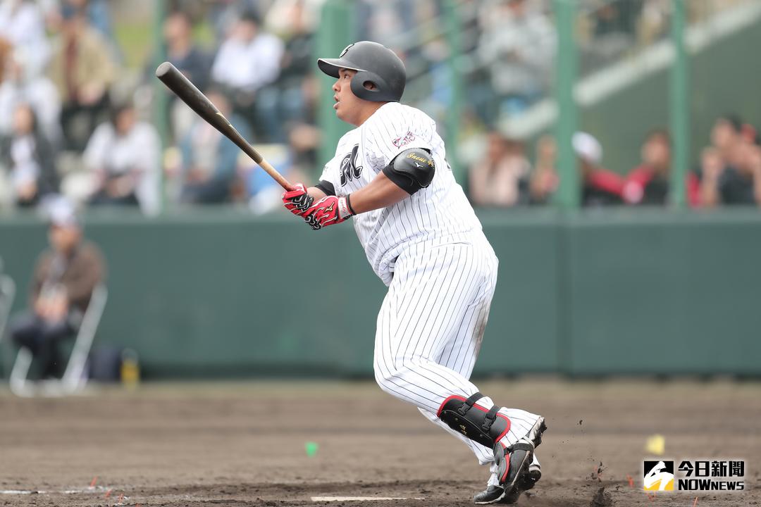 ▲井上晴哉。（圖／千葉海洋羅德隊提供）