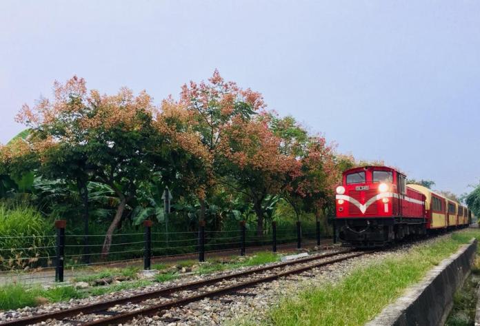▲阿里山森林小火車 14 日發生今年第三起出軌意外。（圖／翻攝自臉書阿里山森林小火車）