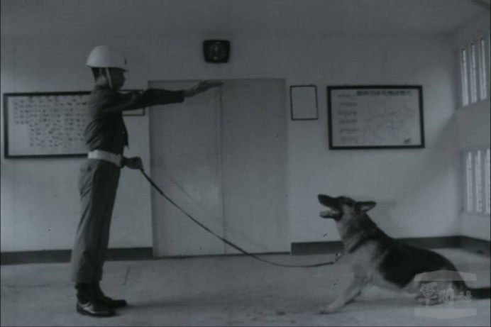▲ 早期軍犬訓練歷史畫面。（軍聞社資料畫面）