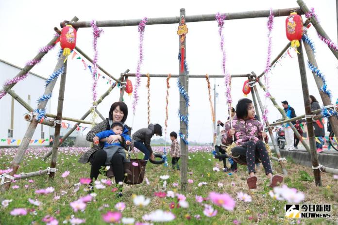 花田享豔　雲林縣莿桐花海節開跑
