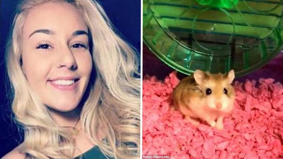 ▲女大生貝倫攜帶寵物倉鼠登機被拒絕。（圖／翻攝自《每日郵報》）