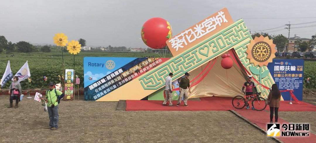 ▲向日葵花海迷宮，待民眾闖關摸寶。（圖／記者許薰方攝，2018.02.10）