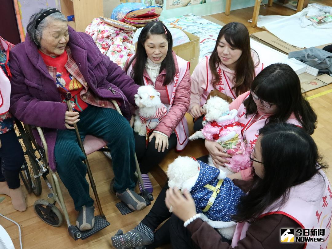 ▲老五老基金會舉辦「一日家人-寵物聚」活動，讓獨居已久的廖奶奶可以感受年節團圓熱鬧氣氛。（圖／記者黃玿琮攝，2018.2.8）