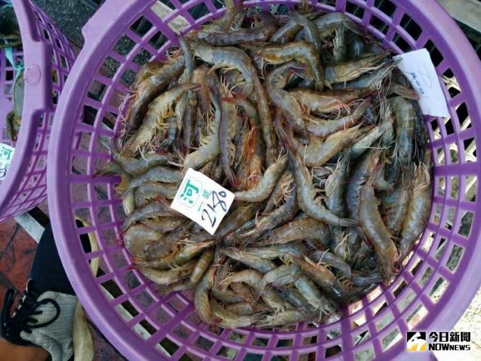 過年採買要留意　消保處抽檢賣場魚蝦、標示違規情形多
