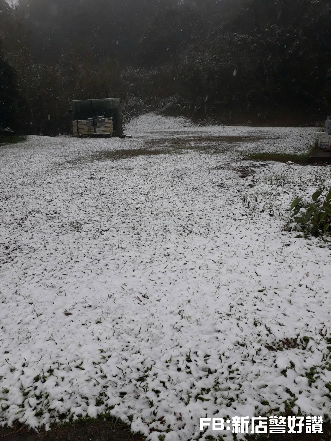 ▲烏來區信賢里信福路路120巷附近的內洞瀑布群周邊，地上有約1公分厚積雪。（圖／新店警分局提供）