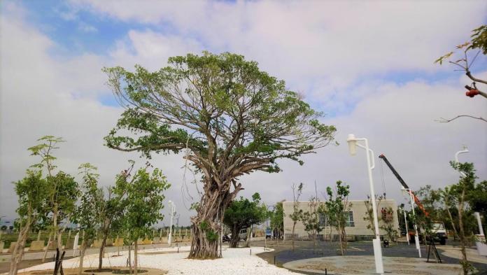 中市中央公園萬株原生樹種　成為都市之肺
