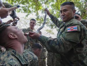 ▲美泰聯合主辦金色眼鏡蛇演習是東南亞最大軍演，美軍會在演習中向泰軍學習求生技巧。（圖／美國海軍陸戰隊））