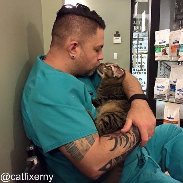 這隻虎斑貓叫做凱利，原本是醫院的一位客人救援的燒傷貓咪，後來成為他們的院貓。「另一位客人有意收養凱利，在為牠開心的同時卻也很難過要送牠離開。那時都是我在照顧牠的傷口，牠會跟在我屁股後面在醫院裡轉來轉去。」