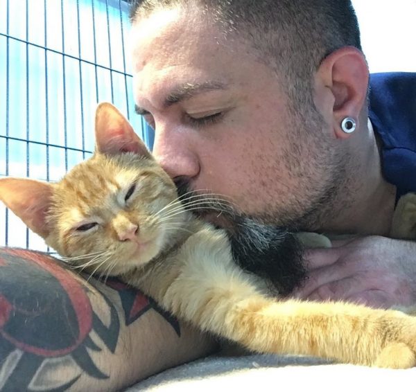 在照顧貓咪病患的同時，吉爾也給予牠們額外的關愛。