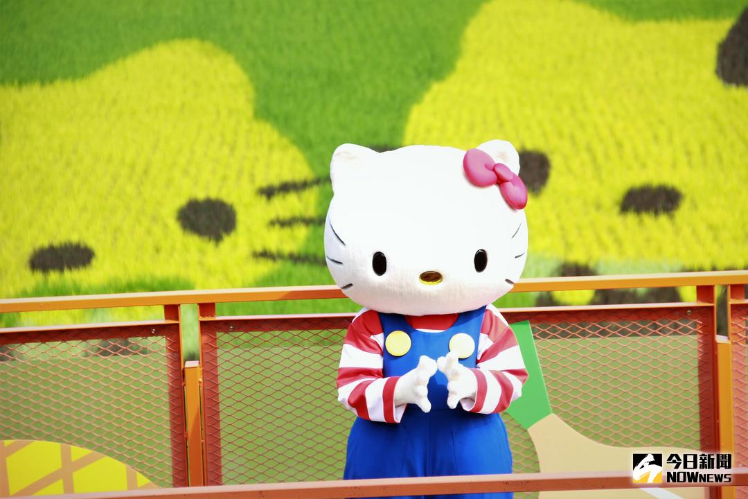 ▲屏東熱帶農業博覽會彩稻田Hello kitty魅力無法擋。（圖／資料照,記者陳宗傑攝）