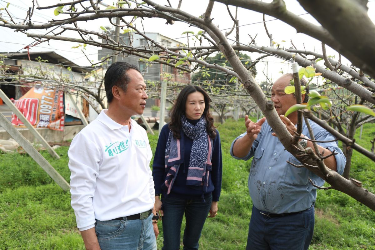 ▲竹崎盛產玉觀音高接梨因寒害損傷嚴重，民進黨嘉義縣長初選參選人翁章梁前往關心受損情形。（圖／翁章梁競選團隊提供 , 2018.02.21）