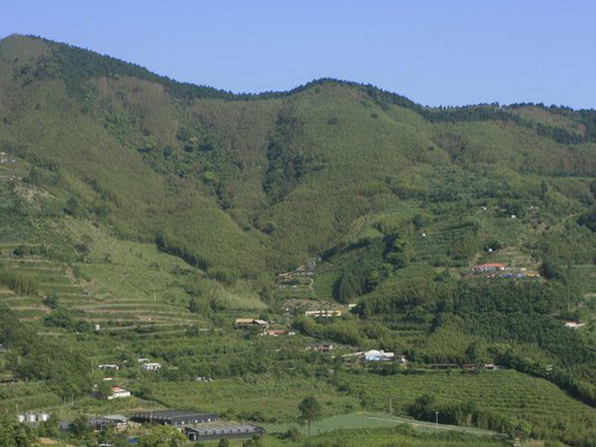 ▲雪霸國家公園管理處表示，雲霧步道7/20起整修5個月。（圖／雪霸國家公園管理處）