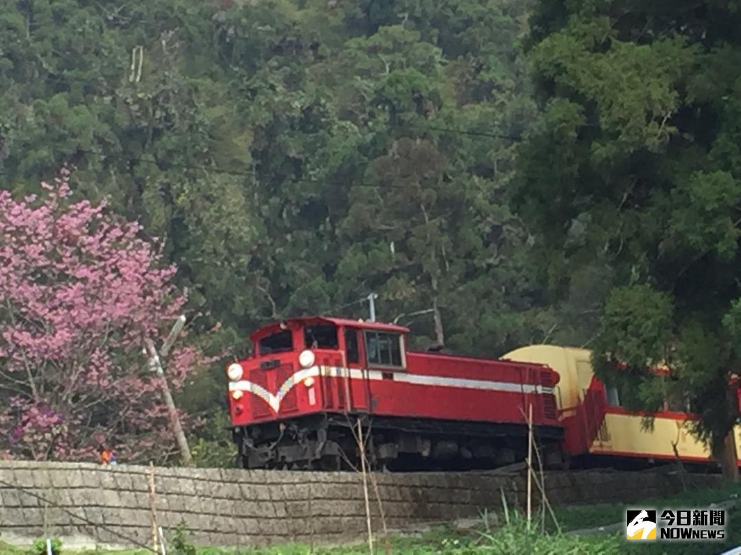 ▲監委大陣仗巡察嘉義縣，並傳出住萬元旅館被批為是假巡察之名、行出遊之實 。但監院澄清，行程是為了要瞭解阿里山地區整體觀光產業消長情形及森林鐵路接連出軌等事件。（圖／NOWnews資料照\\)