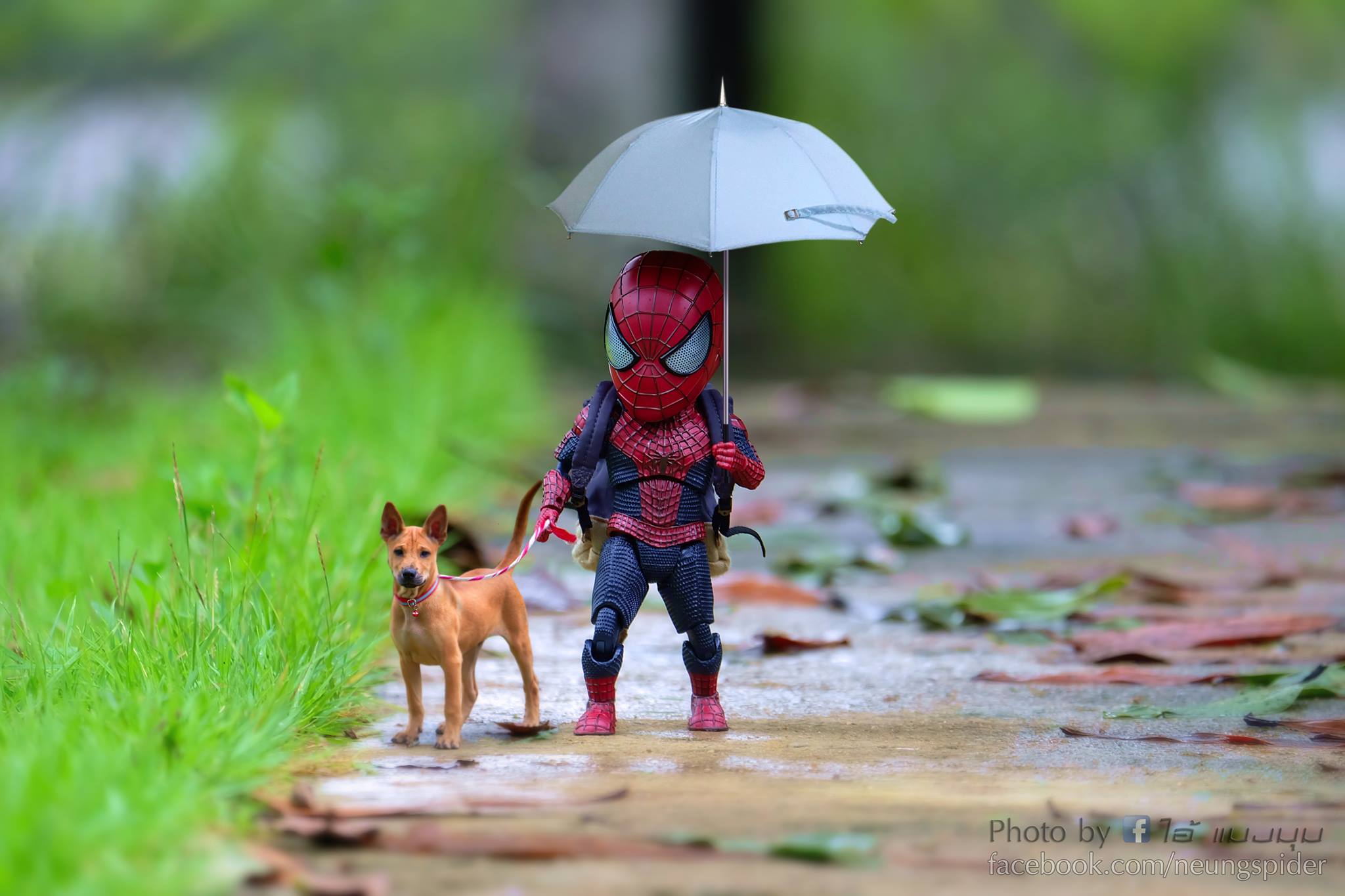 同時也是個好狗奴，下雨天也不忘帶狗出門散步棒賽溜。