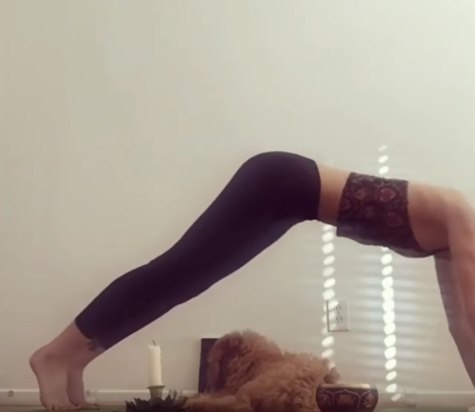 一名身材健美的女子正在練瑜珈，旁邊是她的愛犬。