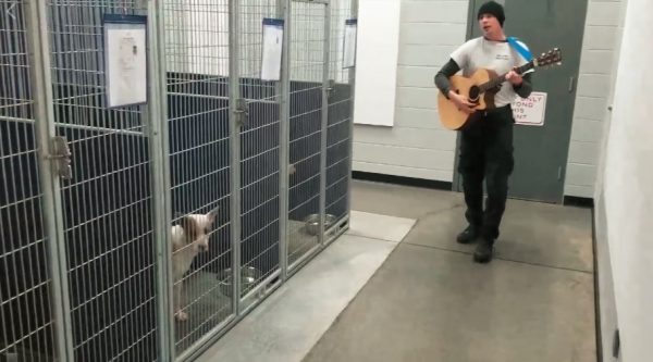 美國一家動保設施的職員，用吉他與歌聲安撫設施內的狗狗們。 （圖／Friends of Vance County Animal Shelter）