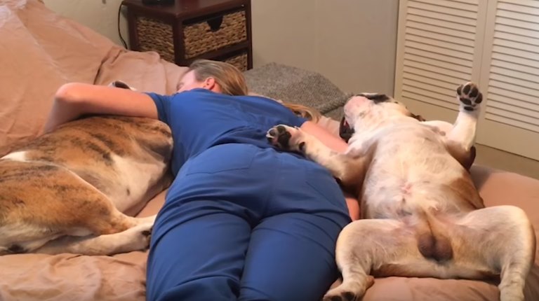 一名護理師下班回家後累趴在床上，跟二隻狗狗一起睡到不省人事。