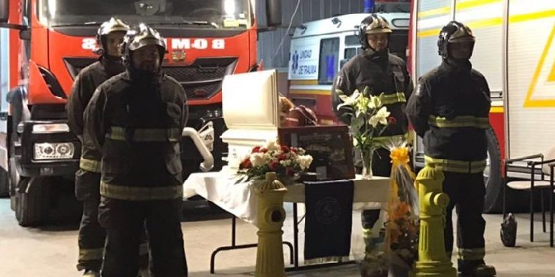 隊犬離世　智利消防隊舉辦隆重葬禮送牠最後一程
