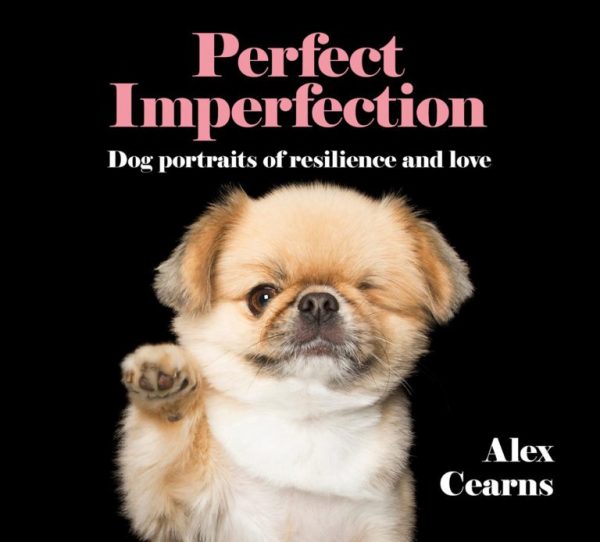 《Perfect Imperfection - Dog portraits of resilience and love》（暫譯：完美的不完美）攝影集，收錄許多可愛的殘疾犬相片。