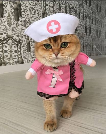 扮裝後完全就是俏麗的小護士。