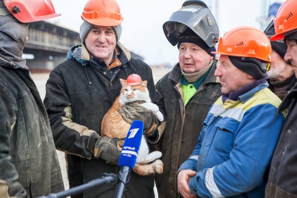 Mostik生活在刻赤海峽大橋的建築工地，這裡的工人們負責照顧牠。大家都戲稱牠為工頭貓。