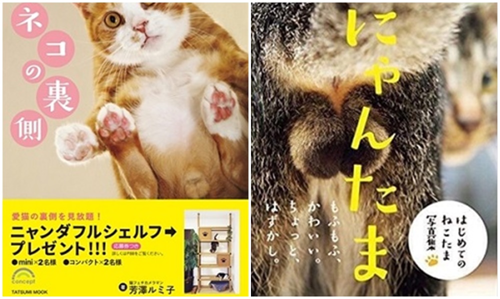 攝影師芳澤ルミ子的作品《ネコの裏側》以及《にゃんたま》將會同時展出。（圖／にゃんクリエイターズ）