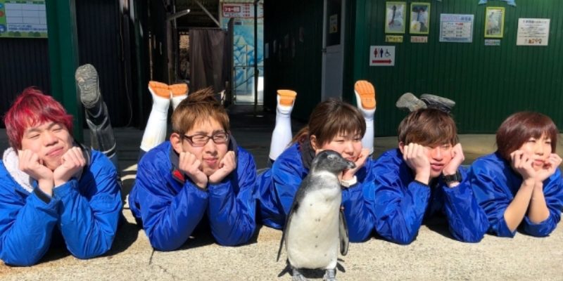 野生動物園出驚世奇招攬客　員工下跪嘆「怎麼沒人來看企鵝秀」
